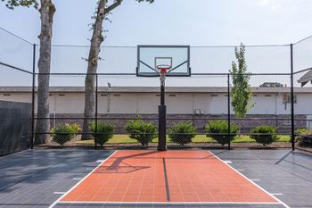 Basketball court